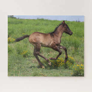 Puzzle Bob Langrish   Quart Horse Foal Running