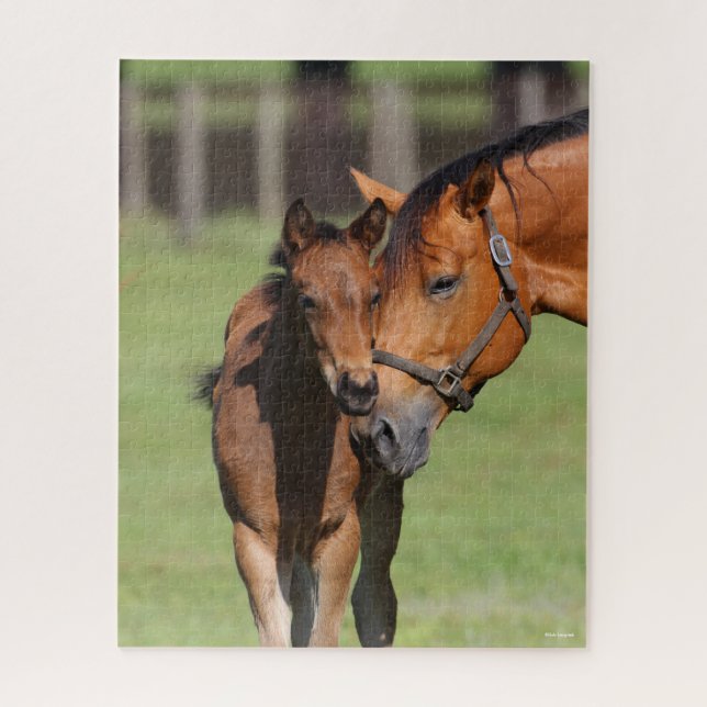 Puzzle Bob Langrish | Quarter Cheval Mare et Foie (Vertical)