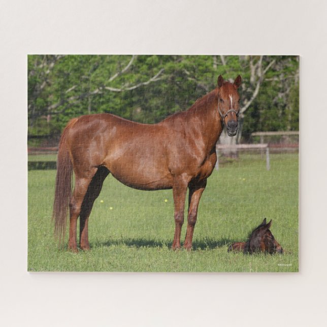 Puzzle Bob Langrish Quarter Cheval Mare et poulain debout (Horizontal)
