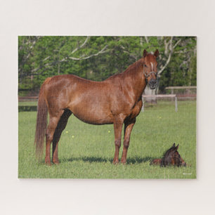 Puzzle Bob Langrish Quarter Horse Mare and Foal Standing