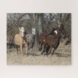 Puzzle Bob Langrish   Quatre Chevaux De Courbe Bashkir Co