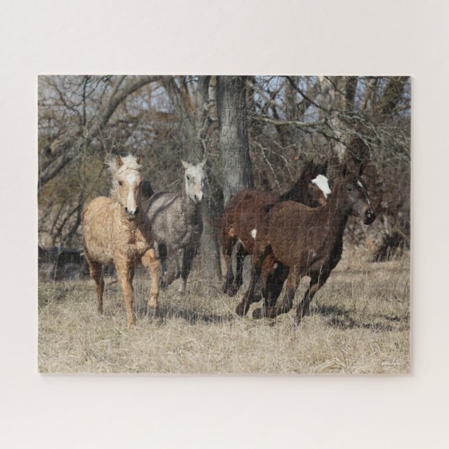 Puzzle Bob Langrish | Quatre Chevaux De Courbe Bashkir Co (Horizontal)