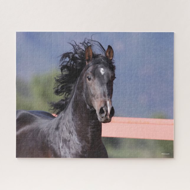 Puzzle Bob Langrish | Retour Casque andalou (Horizontal)