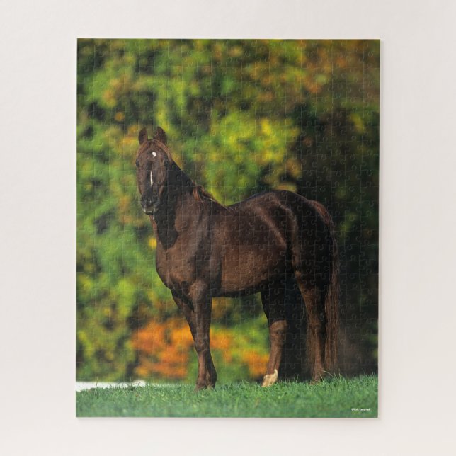 Puzzle Bob Langrish Rocky Mountain Horse debout Automne (Vertical)