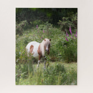 Puzzle Bob Langrish Shetland Pony Debout De Fleurs