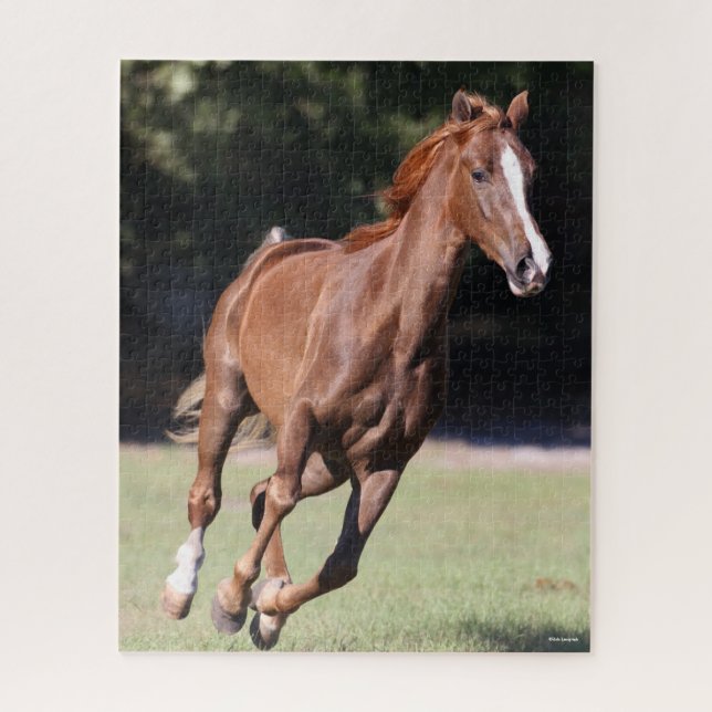 Puzzle Bob Langrish | Tennessee Walker Testnut Running (Vertical)