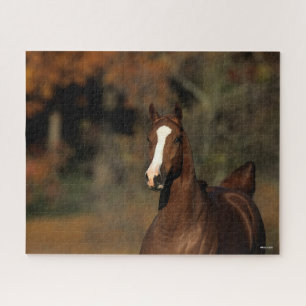 Puzzle Bob Langrish   Tête de tête de châtaigner Thorough