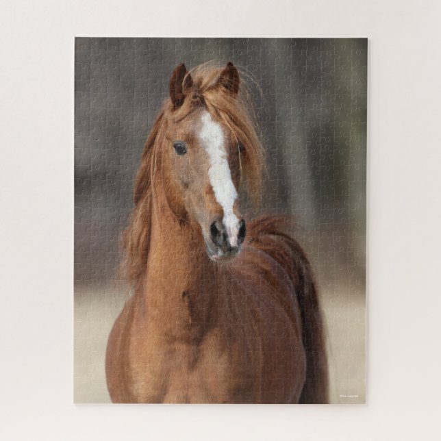 Puzzle Bob Langrish | Tête de tête de Hackney Pony châtai (Vertical)