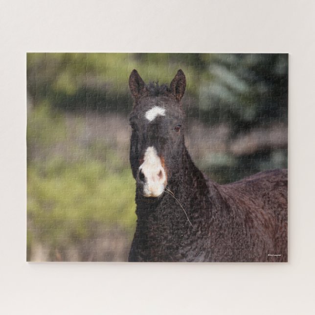 Puzzle Bob Langrish | Tirage de Bashkir Curly Mare (Horizontal)