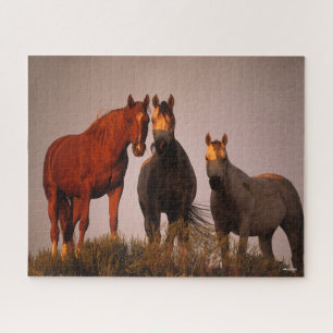 Puzzle Bob Langrish Trois Arabes debout au coucher du s