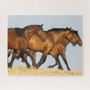 Puzzle Bob Langrish   Trois Mares andalouses en course