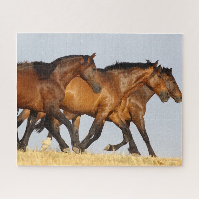 Puzzle Bob Langrish | Trois Mares andalouses en course (Horizontal)