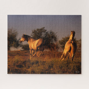 Puzzle Bob Langrish Two Horses Running In Sunset