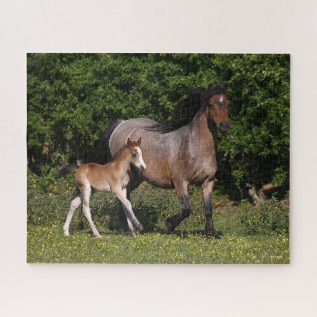 Puzzle Bob Langrish | Welsh Pony Mare and Foal Running (Horizontal)