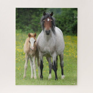 Puzzle Bob Langrish Welsh Pony Mare and Foie Standing