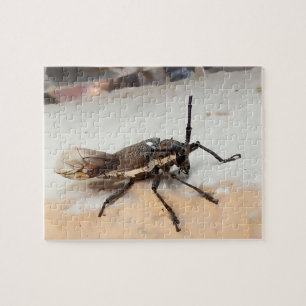 Puzzle Bogue d'insectes Brown
