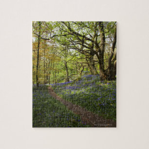 Puzzle Bois de jacinthe des bois de ressort