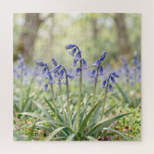 Puzzle Bois de Jacinthe Violette Serein en Fleur