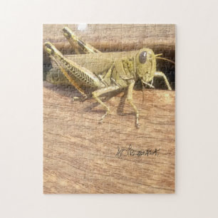 Puzzle Bonjour M. Grasshopper !