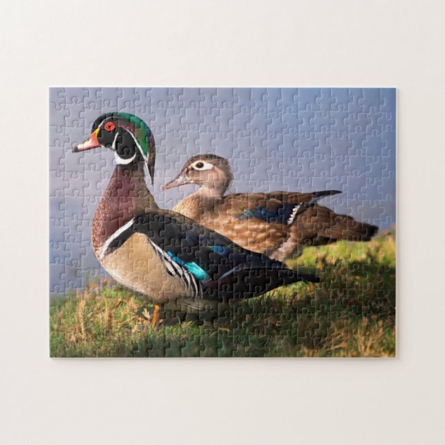 Puzzle Bord de lac, Canard branchu (Horizontal)