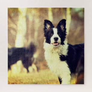 Puzzle Bordure Collie