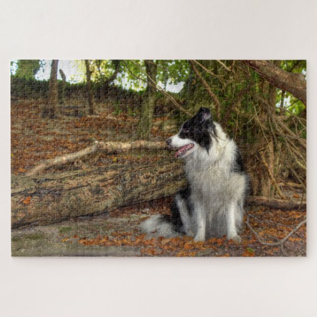 Puzzle Bordure Collie Grande (Horizontal)