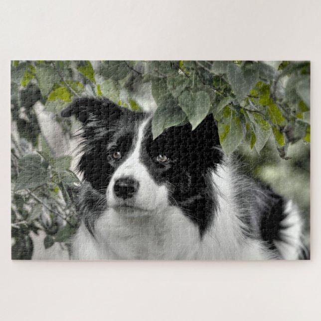 Puzzle Bordure de bois Collie 1014 pièce (Horizontal)