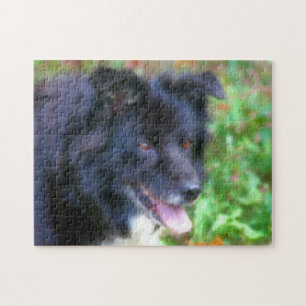 Puzzle Bordure noire Collie Chien Art peinture photo