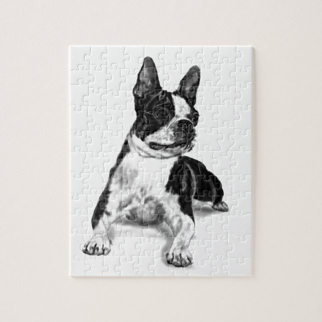 Puzzle Boston Terrier (Vertical)