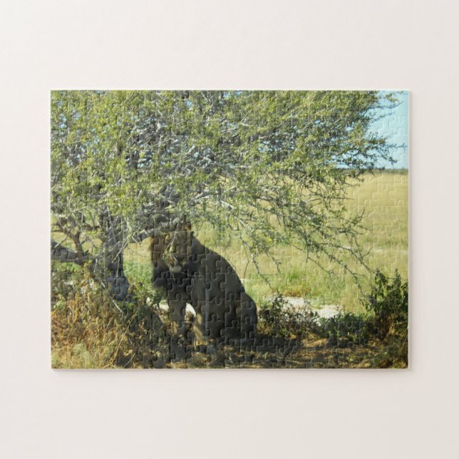 Puzzle Botswana Centre Kalahari Lion Savannah Afrique (Horizontal)