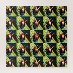 Puzzle Bouché