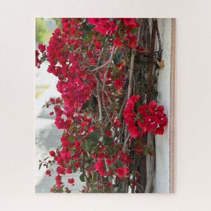 Puzzle Bougainvillée rouge, Burlingame