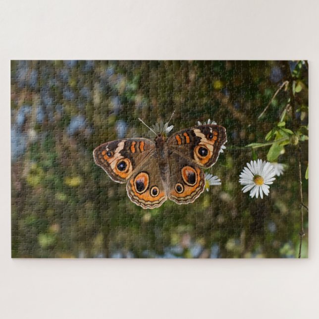 Puzzle Boukeye papillon. (Horizontal)