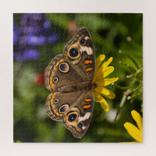 Puzzle Boukeye Papillon Sur Fleur