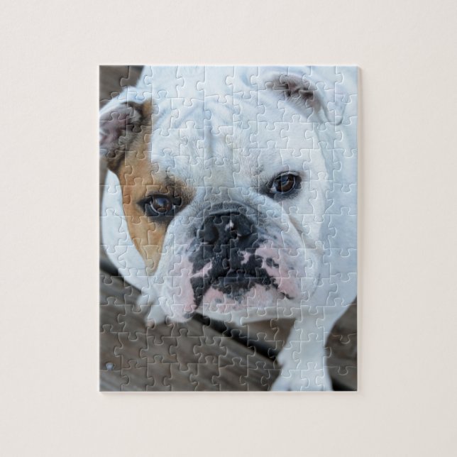 Puzzle Bouledogue anglais (Vertical)