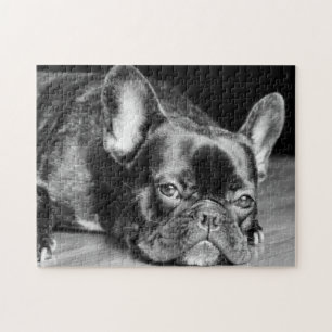 Puzzle Bouledogue français