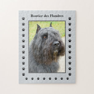 Puzzle Bouvier des Flandres Photo