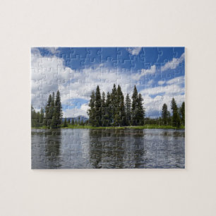 Puzzle Branche de Henry dans la forêt nationale de Targhe