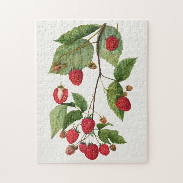 Puzzle Branche de la peinture à l'aquarelle des fruits de (Vertical)