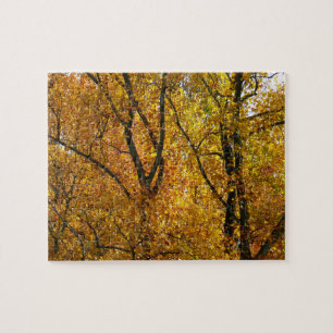 Puzzle Branches de feuilles jaunes couleur automne lumine
