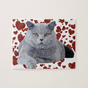 Puzzle British shorthair
