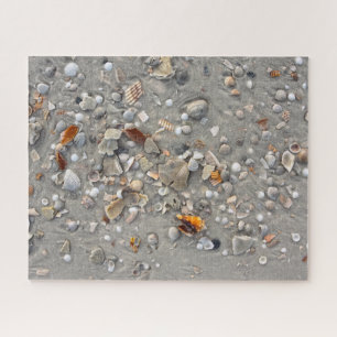 Puzzle Broken Shells on Cape San Blas, Florida 16x20