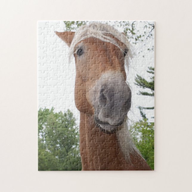 Puzzle Brouillon belge Cheval Silencieux Visage Animal (Vertical)