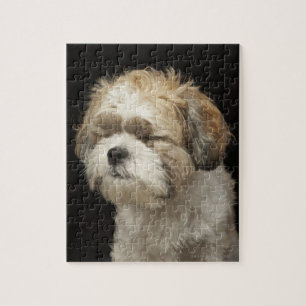 Puzzle Brown and White Shih Tzu with eyes closed