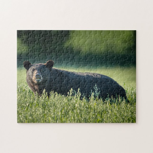 Puzzle Bruno le casse-tête de l'ours (Horizontal)