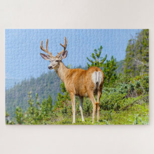 Puzzle Buck