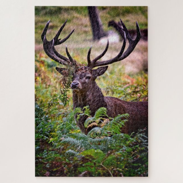 Puzzle Buck in Richmond Park - 20x30 - 1014 pièces (Vertical)