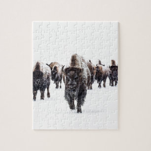 Puzzle Buffalo