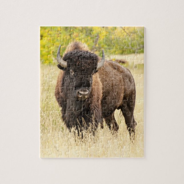 Puzzle Buffalo sauvage dans un domaine (Vertical)