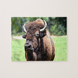 Puzzle Buffle (bison)